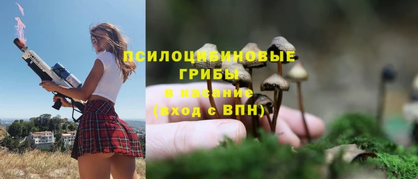 2c-b Новозыбков