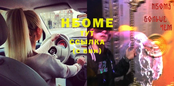 гашик Новодвинск