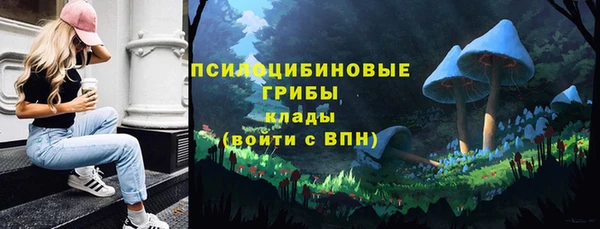 молекула духа Новокубанск