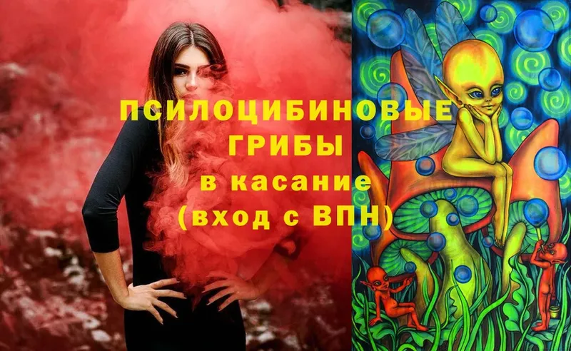 купить  сайты  Калязин  Псилоцибиновые грибы MAGIC MUSHROOMS 